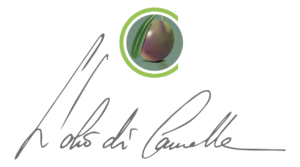 L'Olio di Cannelle Logo